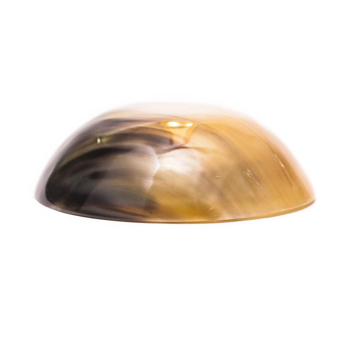 Hornschale Rund – Nomena 2 | Zebu Horn allseitig poliert