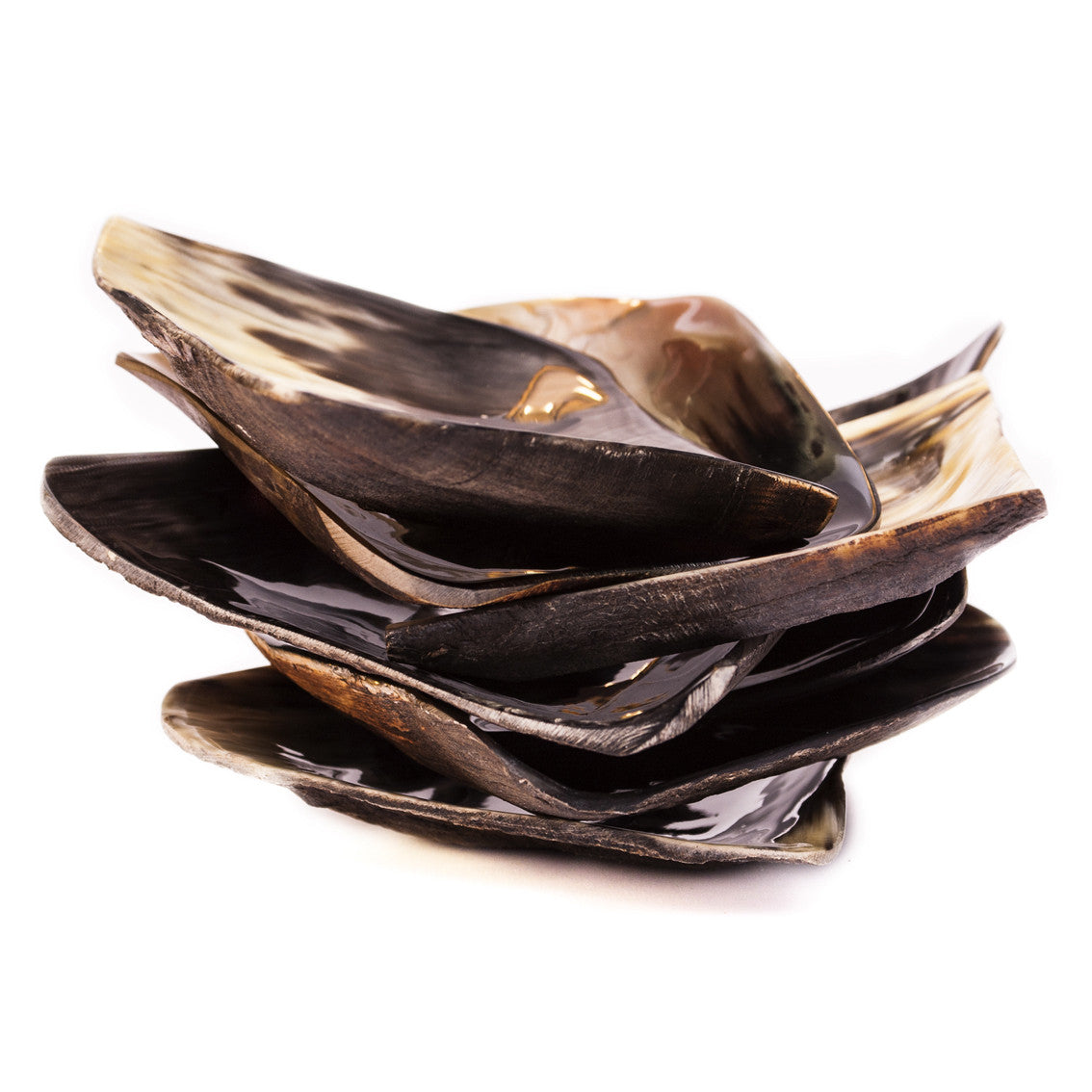 Hornschale Oval – Lalaina 1 | Zebu Horn Schale Madagaskar
